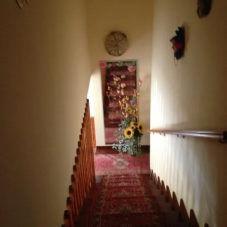 Carbonia Apartments *